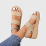 Kaki