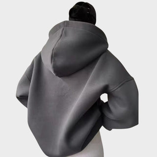 Sweat à capuche gris foncé au dos, capuche avec coutures, manches longues, poche kangourou.