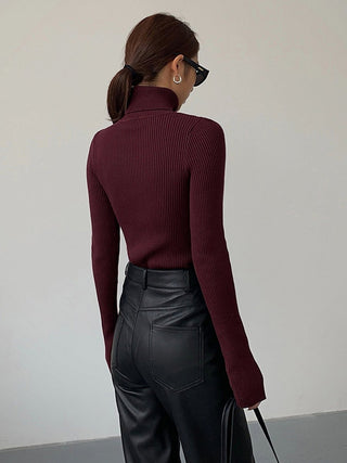 Pull léger en maille côtelée à col roulé, couleur rouge vin, vue de dos, manches longues.