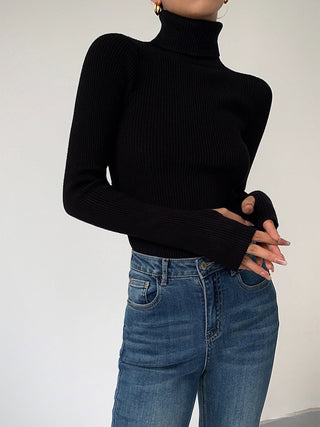 Pull léger en maille côtelée à col roulé, couleur noire, manches longues, ajusté.